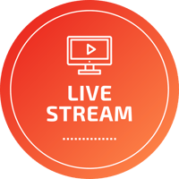 Live Stream